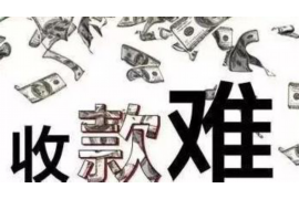 普兰清数公司排名：揭秘行业佼佼者，引领未来发展趋势