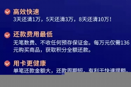 高炮催收怎么应付2020:应对策略与案例分析 高炮催收怎么应付2020:应对策略与案例分析
